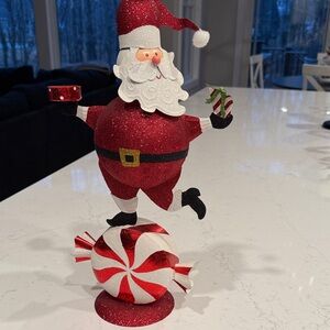 Pier 1 Imports Festive Santa Claus Holiday Decoration - Red and White